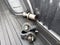 2017 Ford F-250 XLT