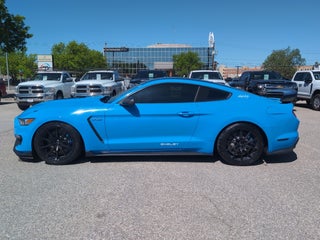 2017 Ford Mustang Shelby Shelby GT350